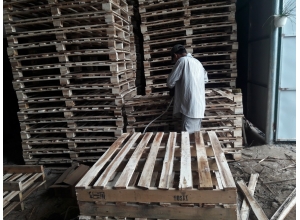 pallet gỗ