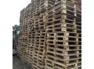 pallet gỗ